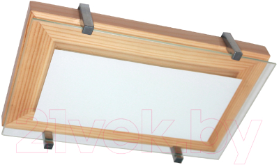 Потолочный светильник Элетех Полесье 280x160 НББ 06-40 М40 ИМ / 1005205881 - фото