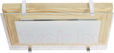 Потолочный светильник Элетех Полесье 280x160 НББ 06-40 М40 ИМ / 1005205881