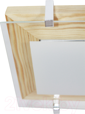 Потолочный светильник Элетех Полесье 280x160 НББ 06-40 М40 ИМ / 1005205881