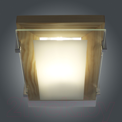 Потолочный светильник Элетех Полесье 280x160 НББ 06-40 М40 ИМ / 1005205881