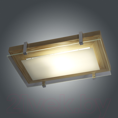 Потолочный светильник Элетех Полесье 280x160 НББ 06-40 М40 ИМ / 1005205881