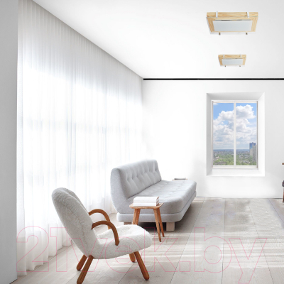 Потолочный светильник Элетех Полесье 280x160 НББ 06-40 М40 ИМ / 1005205881