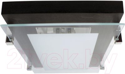 Потолочный светильник Элетех Полесье 280x160 НББ 06-40 М40 ИМ / 1005205883 (белый/венге/хром)