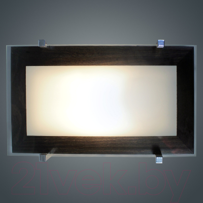 Потолочный светильник Элетех Полесье 280x160 НББ 06-40 М40 ИМ / 1005205883 (белый/венге/хром)