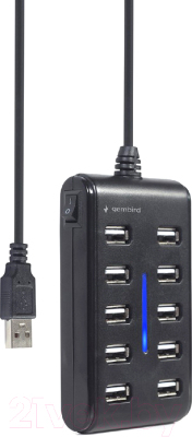USB-хаб Gembird UHB-U2P10P-01