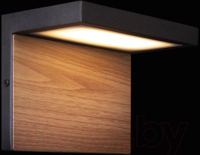 Бра уличное Loftit Oak 100001W