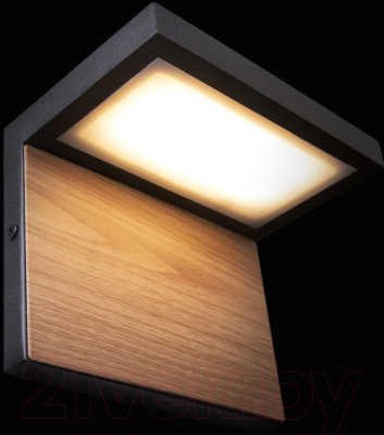 Бра уличное Loftit Oak 100001W