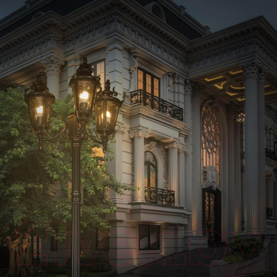 Фонарь уличный Loftit Verona 100003/2300