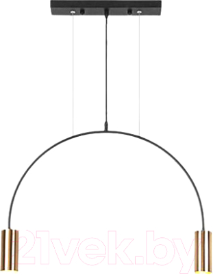 Потолочный светильник Imperiumloft ARC01 / 189569-26 - фото