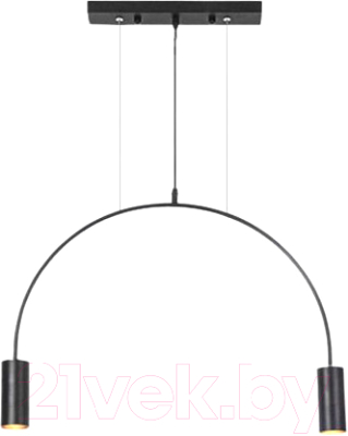 Потолочный светильник Imperiumloft ARC01 / 189568-26 - фото