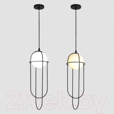 Потолочный светильник Imperiumloft 40.3241 / 140535-26