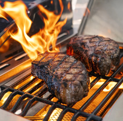 Газовый гриль Nexgrill Deluxe 720-0958HA