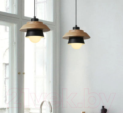 Потолочный светильник Imperiumloft Eco1 / 101549-26