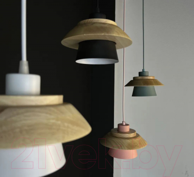 Потолочный светильник Imperiumloft Eco1 / 101549-26