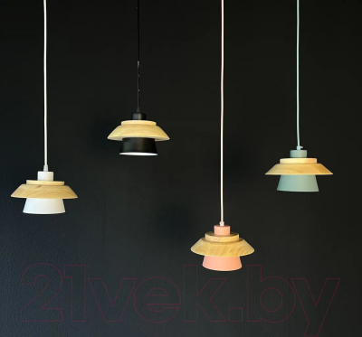 Потолочный светильник Imperiumloft Eco1 / 101549-26