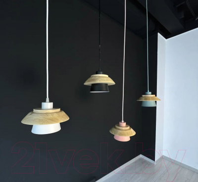 Потолочный светильник Imperiumloft Eco1 / 101549-26