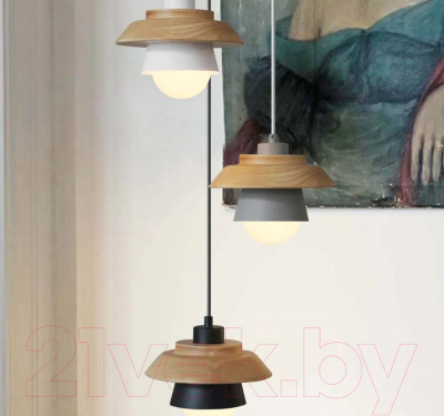 Потолочный светильник Imperiumloft Eco1 / 101549-26