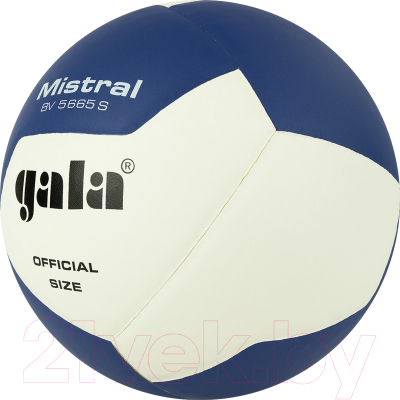 Мяч волейбольный Gala Sport Mistral 12 / BV5665S