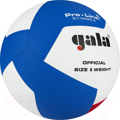 Мяч волейбольный Gala Sport Pro-Line 12 / BV5595SA