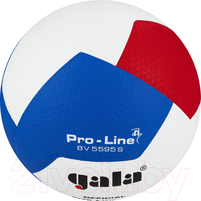 Мяч волейбольный Gala Sport Pro-Line 12 / BV5595SA