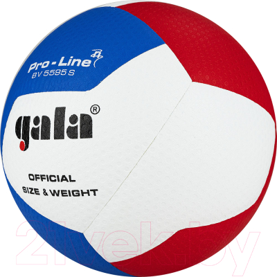 Мяч волейбольный Gala Sport Pro-Line 12 / BV5595SA