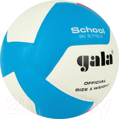 Мяч волейбольный Gala Sport School 12 / BV5715S