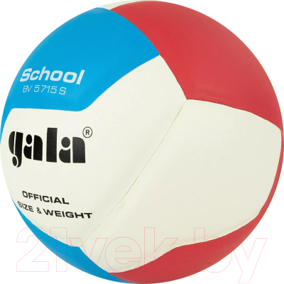 Мяч волейбольный Gala Sport School 12 / BV5715S