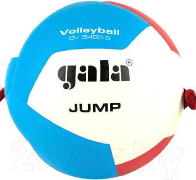 Мяч волейбольный Gala Sport Jump 12 / BV5485S