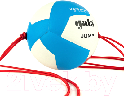 Мяч волейбольный Gala Sport Jump 12 / BV5485S