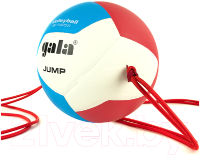 Мяч волейбольный Gala Sport Jump 12 / BV5485S