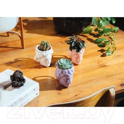 Кружка Doiy Venus / DYMUGVELI (лиловый)