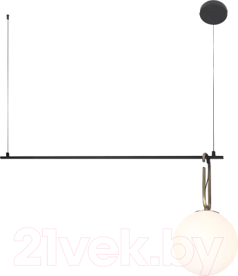 Потолочный светильник Евросвет 70143/1 (черный) - фото