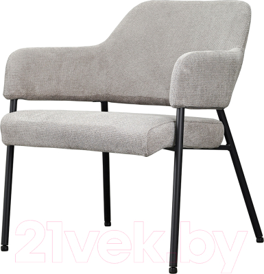 Стул Bergenson Bjorn Wendy / BF-ACH-WND-CHL-GR (серый) - фото