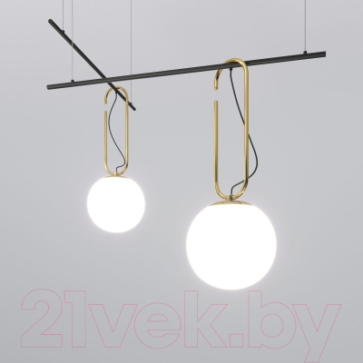 Потолочный светильник Евросвет 70143/5 (черный)