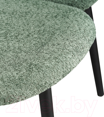 Стул Bergenson Bjorn Bente / FH-BB-CH-BT-GRN (зеленый)