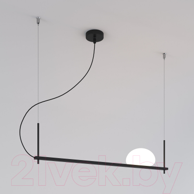 Потолочный светильник Евросвет 70145/1 (черный)