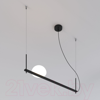 Потолочный светильник Евросвет 70145/1 (черный)