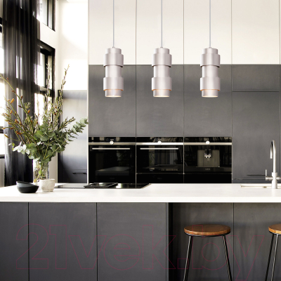 Потолочный светильник Евросвет 50235/1 (никель)