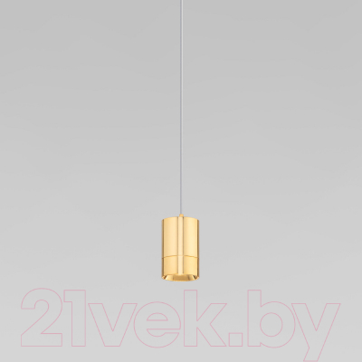 Потолочный светильник Евросвет 50248/1 LED (золото)