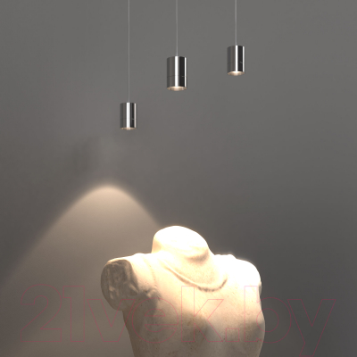 Потолочный светильник Евросвет 50248/1 LED (хром)