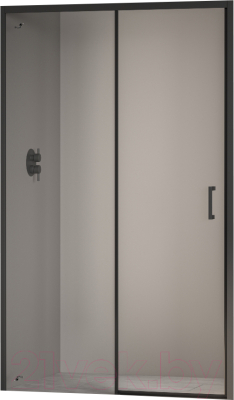 Душевая дверь RGW PA-017-B / 350801718-14 - фото