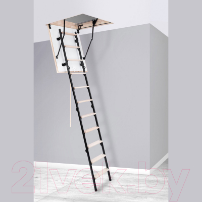 Чердачная лестница Oman Termo Mini 90x70x265