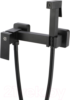 Гигиенический душ РМС SUS129BL-6-2 - фото