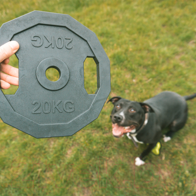 Игрушка для собак EBI Bite Me / 303/475324