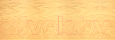 Лакобейц Drewnochron 2.5л