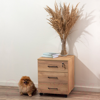 Тумба Millwood TM4 подкатная с замком (дуб золотой Craft)