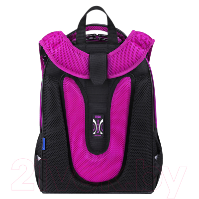 Школьный рюкзак Brauberg Shiny. Magic Cat / 271381