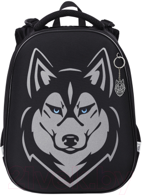 Школьный рюкзак Brauberg Shiny. Husky / 271383 - фото