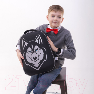 Школьный рюкзак Brauberg Shiny. Husky / 271383