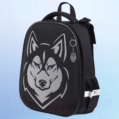 Школьный рюкзак Brauberg Shiny. Husky / 271383